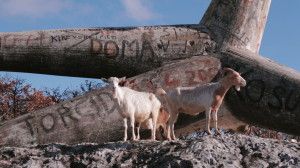 grubic-monument