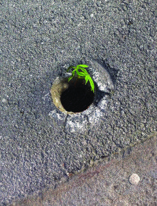 okomito_BurzaGresaka